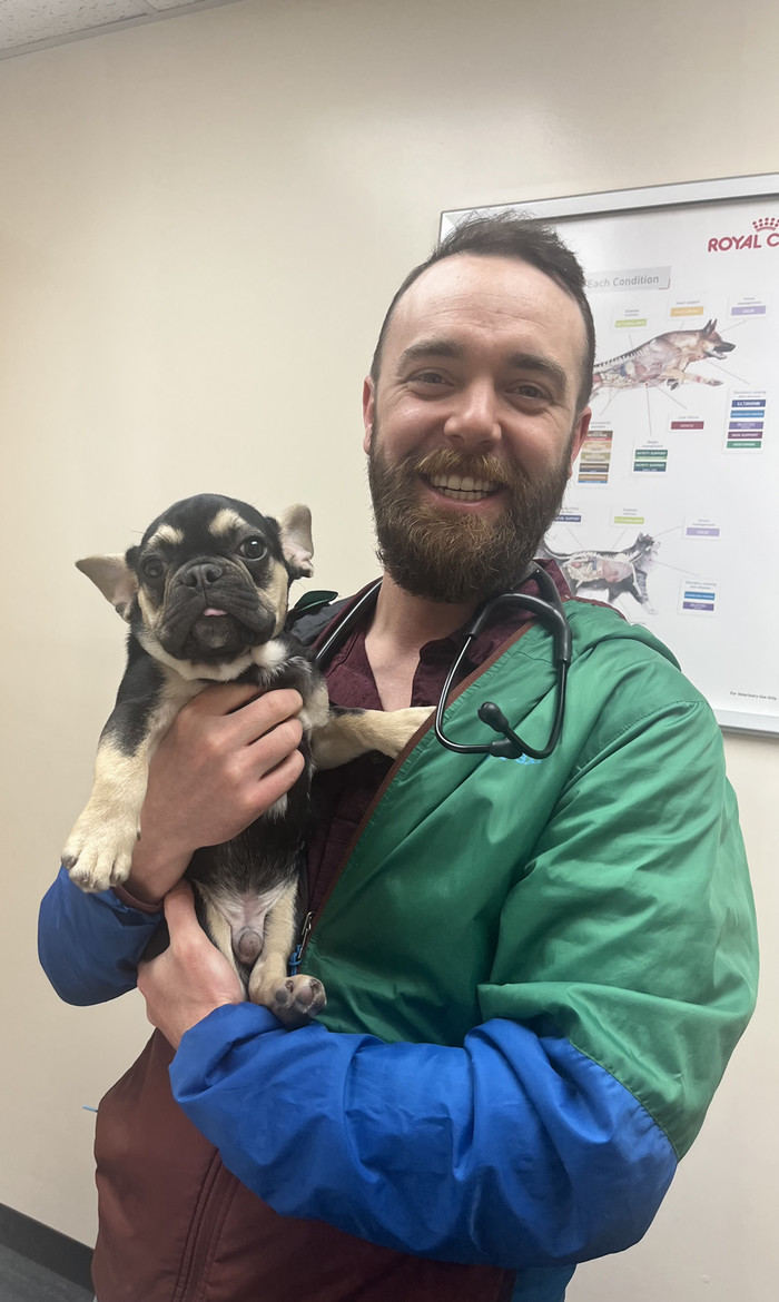 West Denver Veterinary Hospital & Wellness